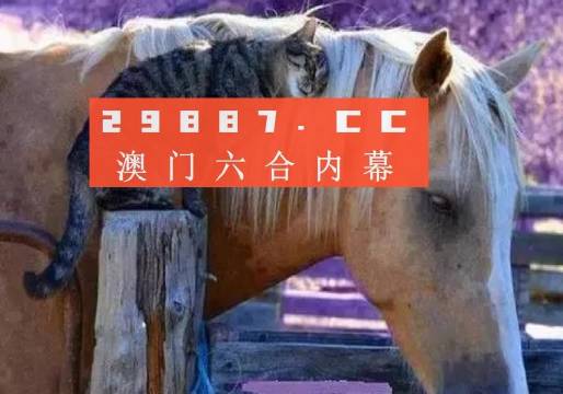 澳門一肖一碼一待一中四不像，探索與解析，澳門一肖一碼一待一中四不像，深度解析與探索