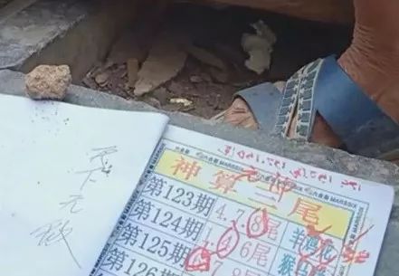 香港中特期期準(zhǔn)資料，深度解析與探索，香港中特期期準(zhǔn)資料深度解析與探索報(bào)告