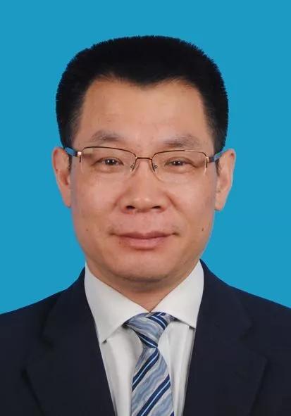 2024新奧正版資料免費獲取指南，2024新奧正版資料免費獲取攻略