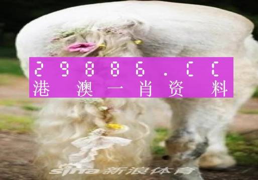 澳門羊了個(gè)羊與各大圖庫的資料揭秘，2023年澳門今晚必中一肖一碼永久免費(fèi)資料庫大解密，澳門羊了個(gè)羊與資料庫揭秘，2023年必中一肖一碼永久免費(fèi)資料大解密