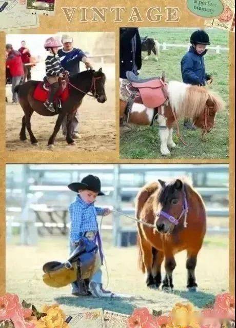 揭秘今晚澳門特馬開彩結果，四不像彩種深度解析，澳門特馬開彩結果揭秘，四不像彩種深度解析與預測