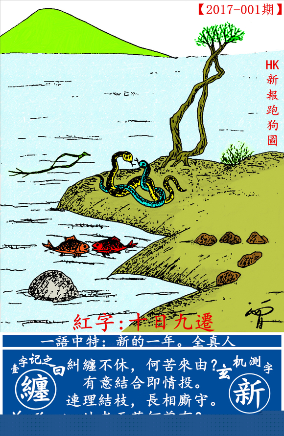 探索全新版跑狗圖，7777788888的魅力與策略，探索全新版跑狗圖，7777788888的魅力與攻略解析