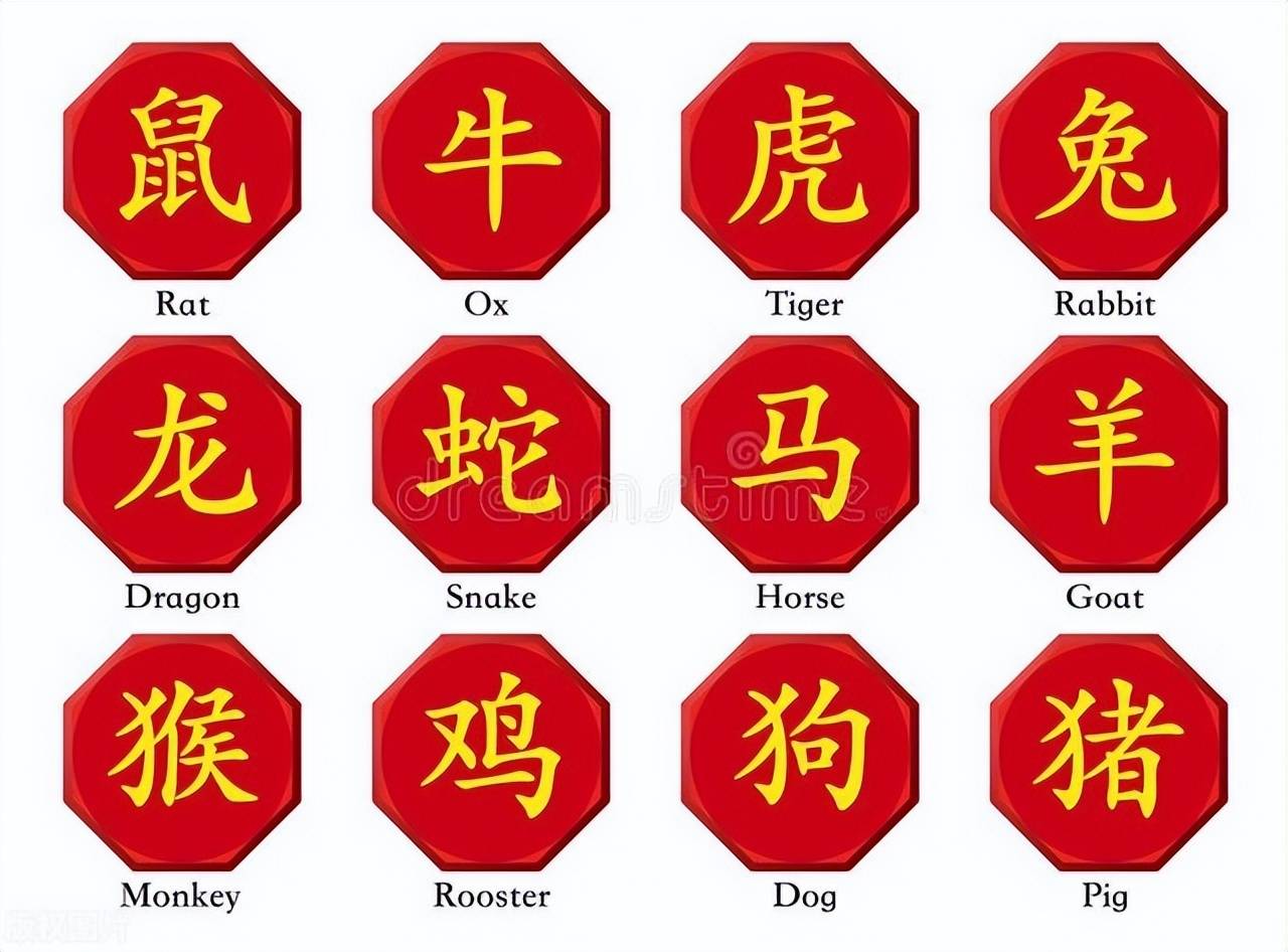 新澳特碼，羊牛虎各數(shù)10——揭秘背后的數(shù)字奧秘，揭秘新澳特碼數(shù)字奧秘，羊?；⒏鲾?shù)背后的秘密