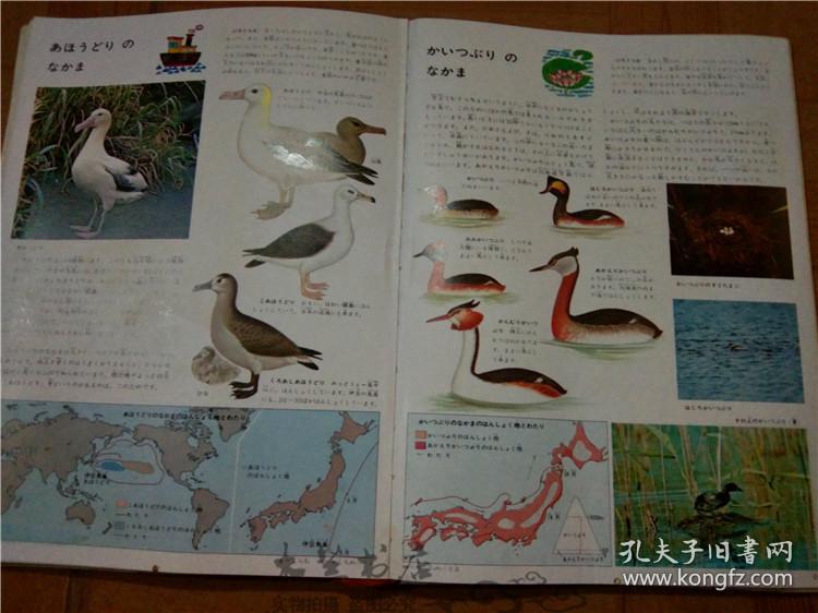 今日正版跑狗圖分享，探索7777788888跑狗圖的魅力，今日正版跑狗圖分享，探索魅力十足的777778跑狗圖