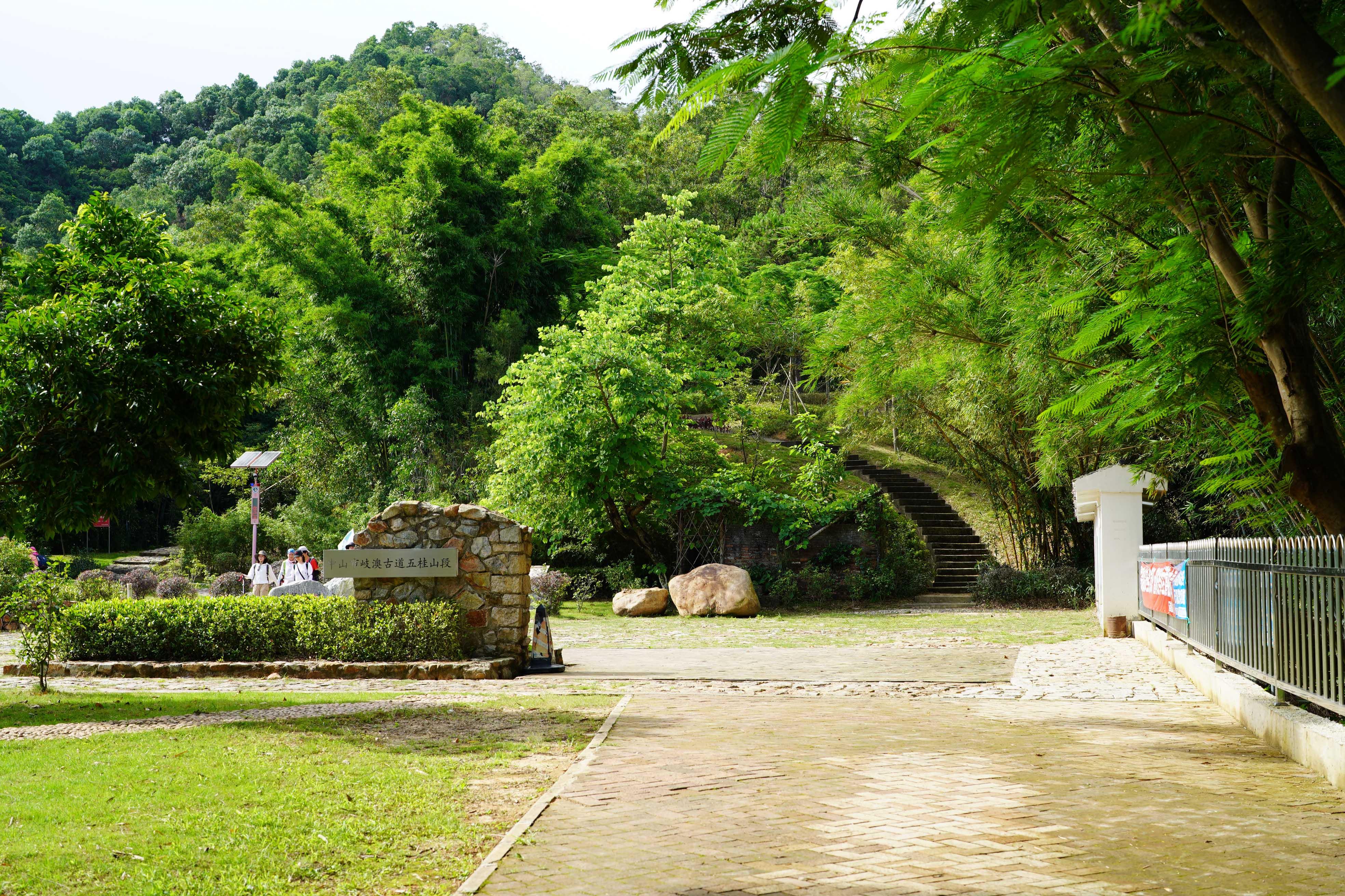 新澳門彩生肖走勢圖，探索與解讀彩票背后的秘密，探索解讀新澳門彩生肖走勢圖，彩票背后的秘密揭秘
