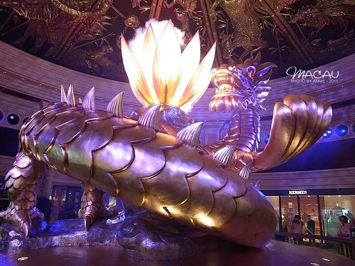 澳門無(wú)錯(cuò)七尾，探索與解析，澳門無(wú)錯(cuò)七尾，深度探索與解析
