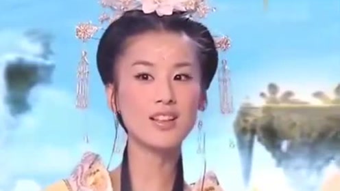 曾道道人資料免費(fèi)大全，深度探索與解析，曾道道人資料深度解析與免費(fèi)大全探索