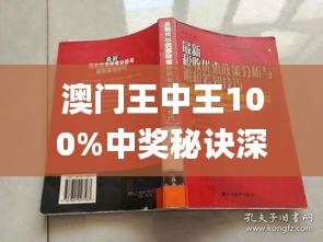 新澳門王中王期期中，探索與解析，新澳門王中王期期中，深度探索與解析