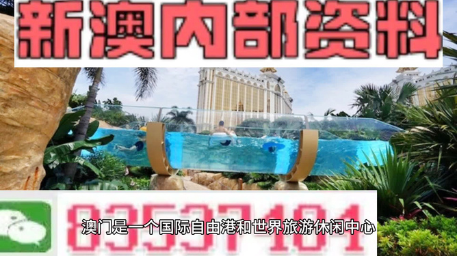 新澳的資料去哪里找——全面指南，新澳資料全攻略，尋找資料的途徑與指南