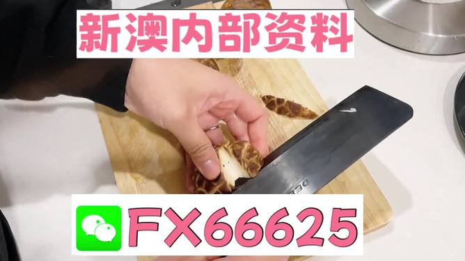 澳門九點(diǎn)半9點(diǎn)半網(wǎng)站——探索其魅力與優(yōu)勢，澳門九點(diǎn)半網(wǎng)站，魅力與優(yōu)勢探索