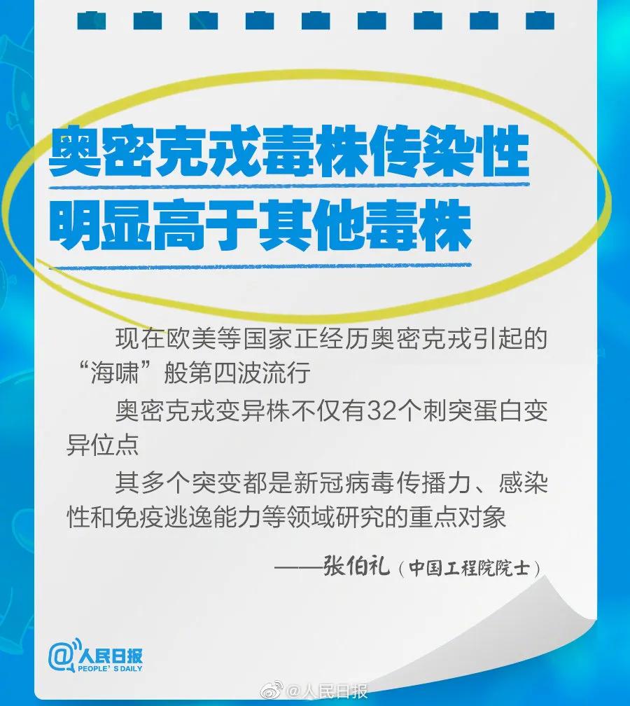 新奧2025最新資料大全，準確資料全面解析，新奧2025最新資料大全，全面解析準確資料一網(wǎng)打盡