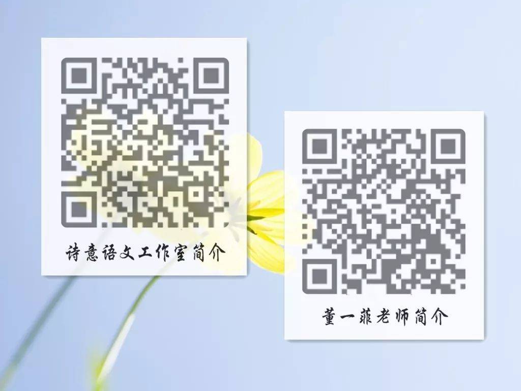 一碼一肖一特一，揭秘背后的秘密與獨特之處，揭秘一碼一肖一特一的獨特之處與背后秘密