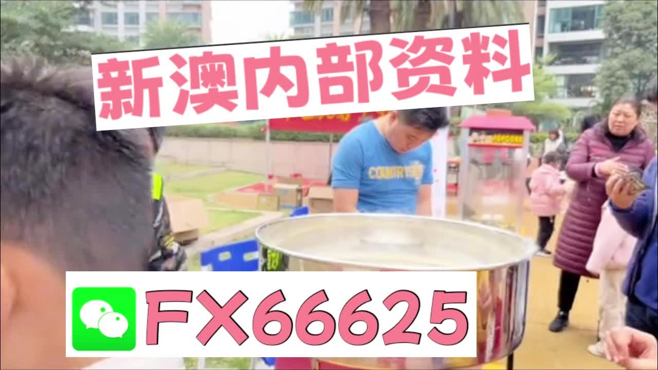 新澳2025芳草地資料大全，深度解析與前瞻性展望，新澳2025芳草地，資料深度解析與前瞻性展望