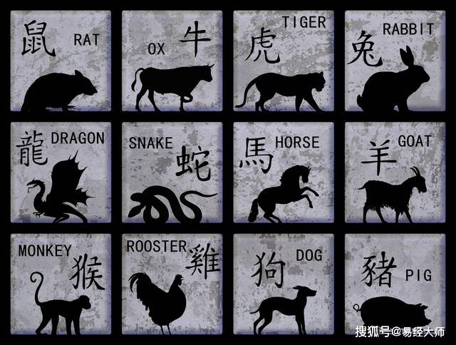 新澳特碼，羊?；⒏鲾?shù)10的獨(dú)特魅力與解析，新澳特碼，羊?；⒏鲾?shù)10的獨(dú)特魅力深度解析