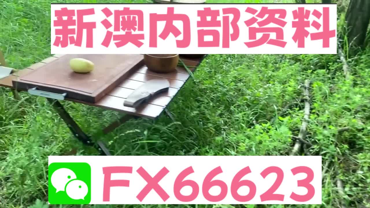 新奧特碼走勢圖解析與預(yù)測，新奧特碼走勢圖解析與預(yù)測，未來趨勢探討