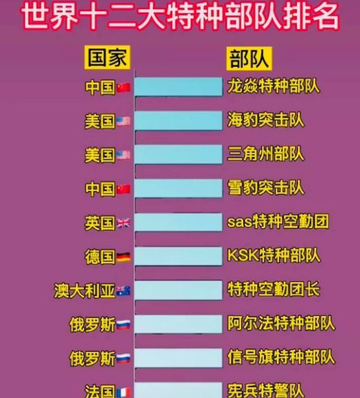 中國十大王牌特種部隊(duì)，實(shí)力與榮耀的象征，中國十大王牌特種部隊(duì)，實(shí)力與榮耀的巔峰標(biāo)志