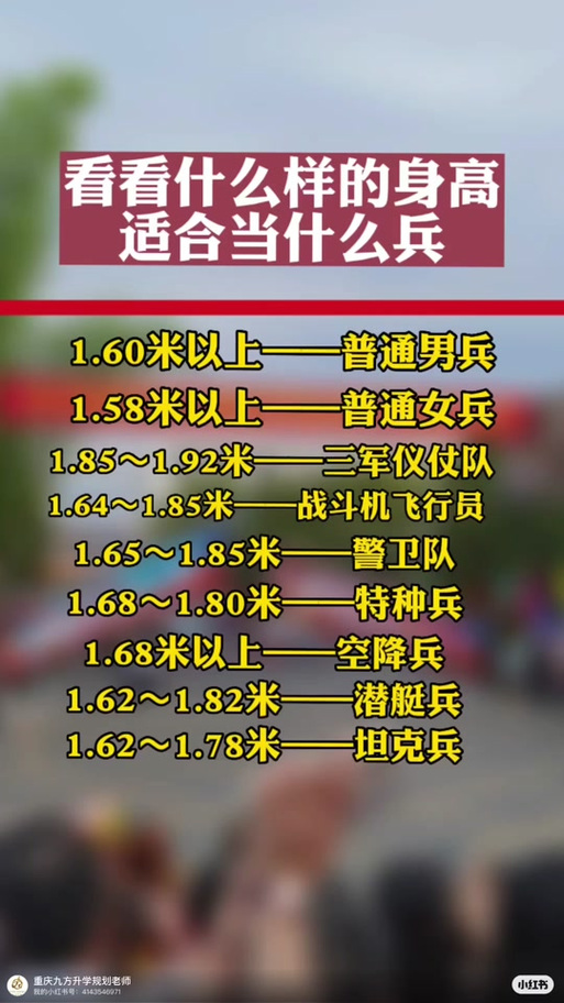 儀仗兵身高標(biāo)準(zhǔn)，探究與解析，儀仗兵身高標(biāo)準(zhǔn)，探究與詳解