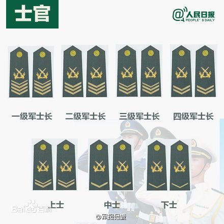 全球各國軍士長軍銜對照表及其重要性，全球各國軍士長軍銜對照表，揭示其重要性