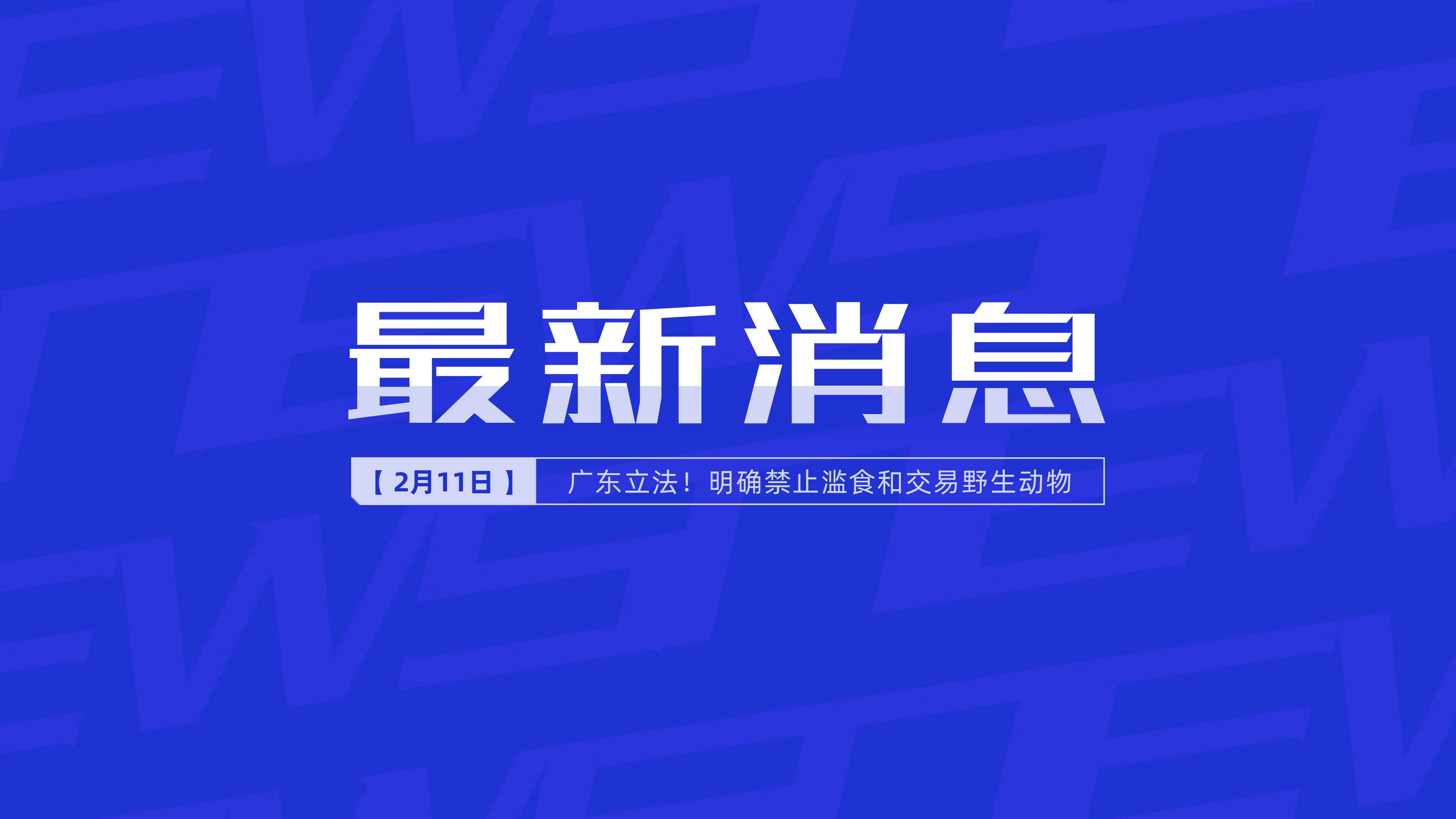 新聞最新新聞，掌握時(shí)事熱點(diǎn)，洞悉世界動(dòng)態(tài)，時(shí)事熱點(diǎn)速遞，掌握全球最新動(dòng)態(tài)新聞