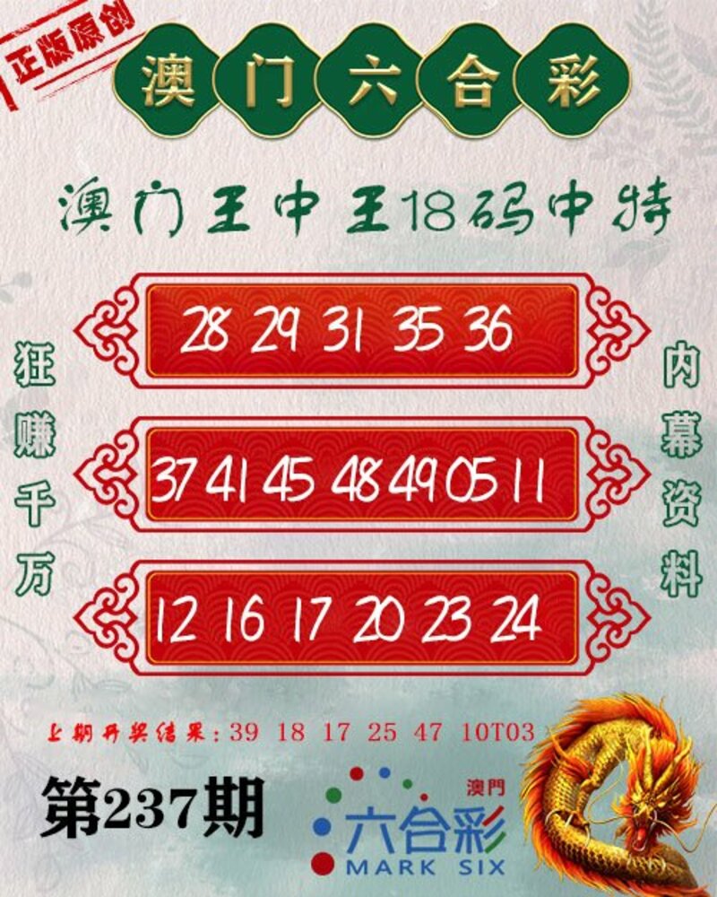 新澳門王中王期期中，探索與解析，新澳門王中王期期中，深度探索與解析