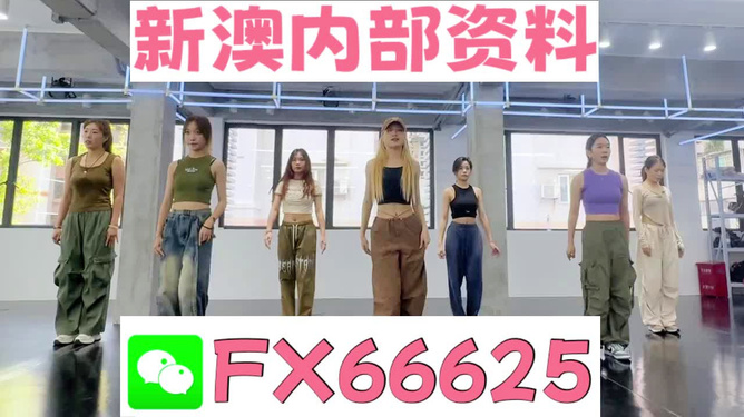新澳持碼會(huì)資料詳解，新澳持碼會(huì)資料全面解析