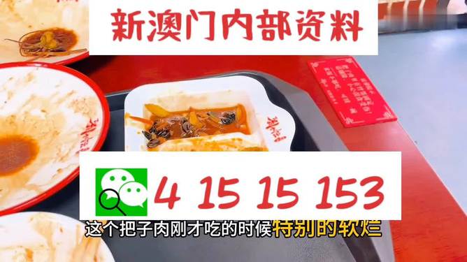 澳門王中王六碼新澳門，探索與解析，澳門王中王六碼新澳門，深度探索與解析