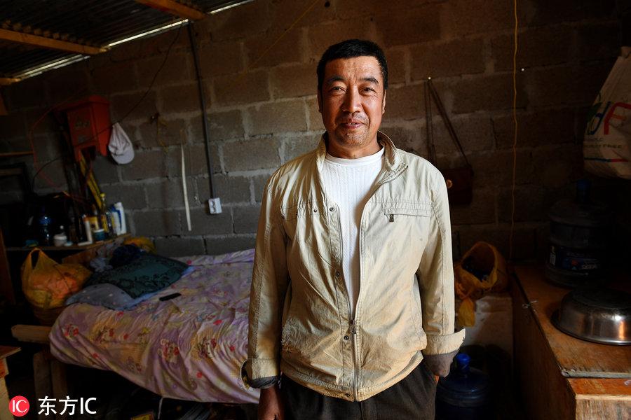 博科圣地組織，深度解析與理解，博科圣地組織深度解析與探究