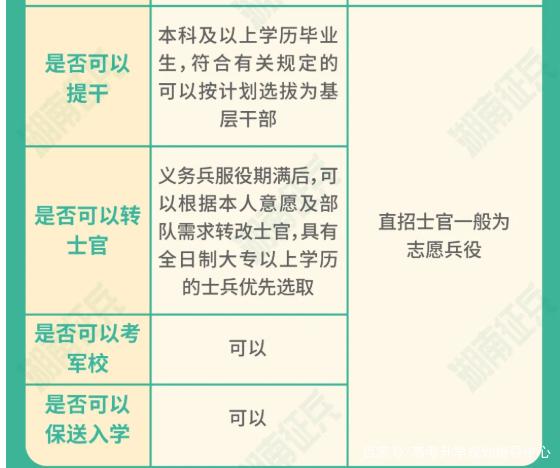 士官直招與義務(wù)兵的區(qū)別，深入了解軍隊(duì)招募制度，直招士官與義務(wù)兵招募制度深度解析，軍隊(duì)招募制度詳解