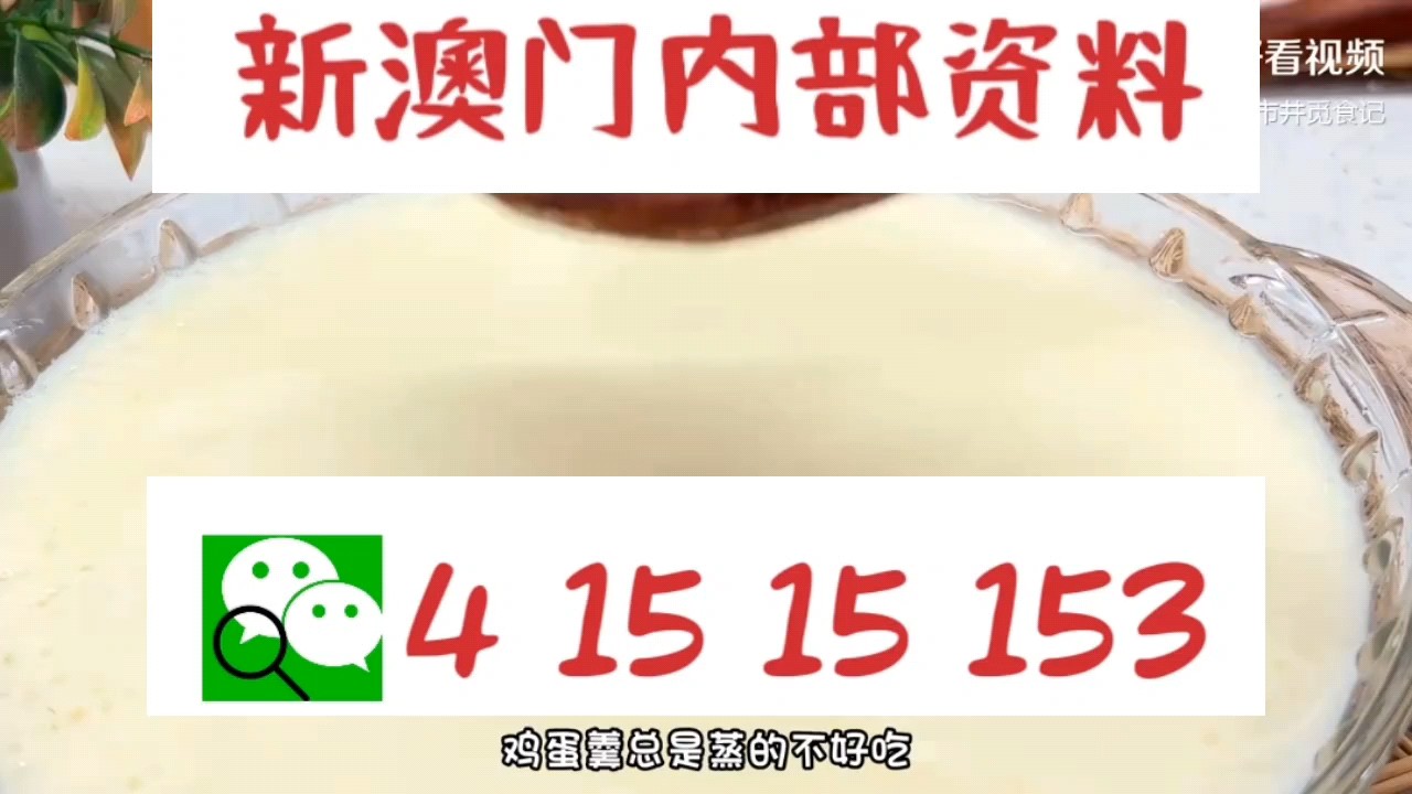 新澳門中特網(wǎng)中特馬，探索與解析，澳門中特馬探索與解析指南