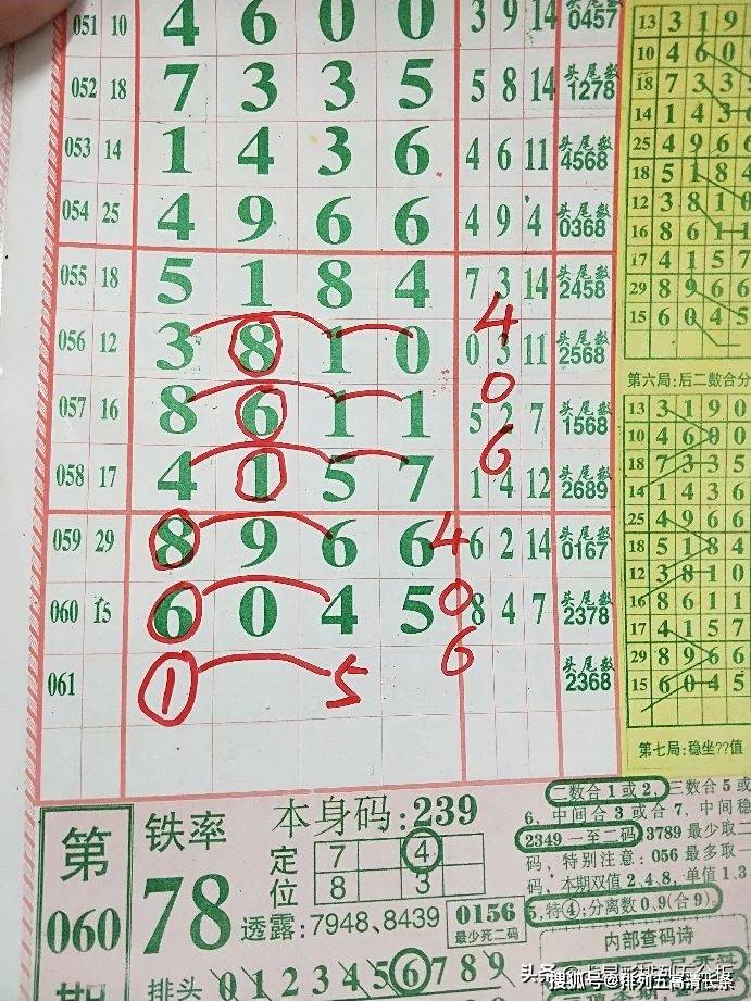 平特肖推算法，探索搜索引擎優(yōu)化的新境界，平特肖推算法，開啟搜索引擎優(yōu)化新境界的探索之旅