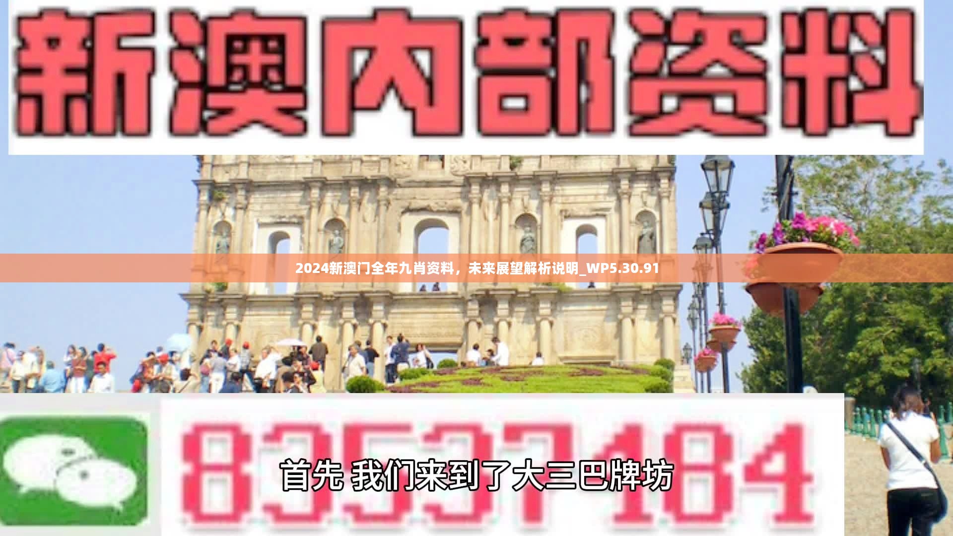 新澳門精準(zhǔn)九肖，揭秘預(yù)測技巧與策略，揭秘新澳門精準(zhǔn)九肖預(yù)測技巧與策略