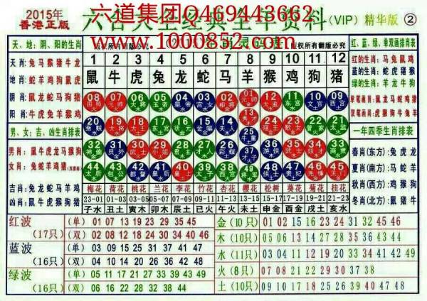 揭秘2024十二生肖49碼表——完整指南，揭秘十二生肖49碼表全攻略，2024年最新版指南