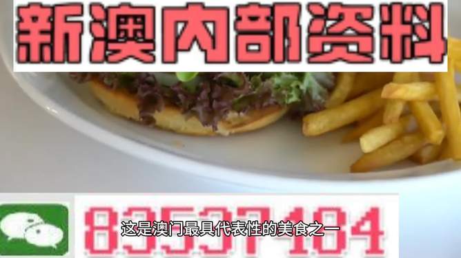 新澳2024生肖最新資料解析與預(yù)測(cè)，新澳2024生肖解析與預(yù)測(cè)報(bào)告