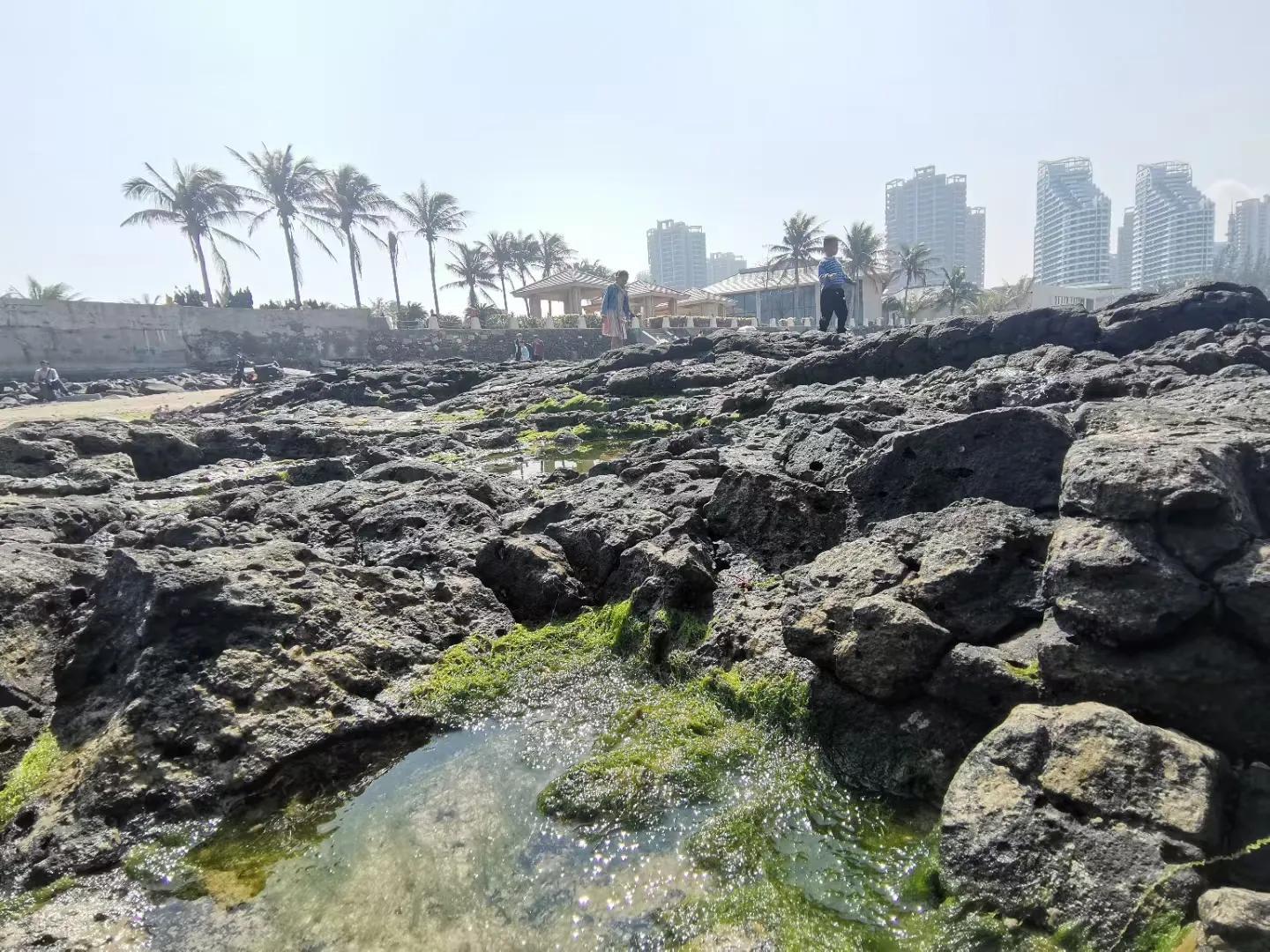 解放海南島電視劇全集下載，探尋30集完整劇情，解放海南島電視劇全集下載，探尋完整的30集劇情探索