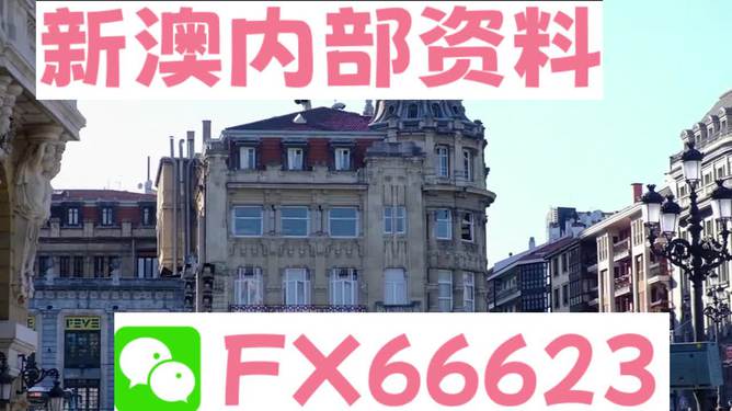 澳門六資料大全，深度探索與揭秘，澳門六資料大全，深度探索與揭秘之旅