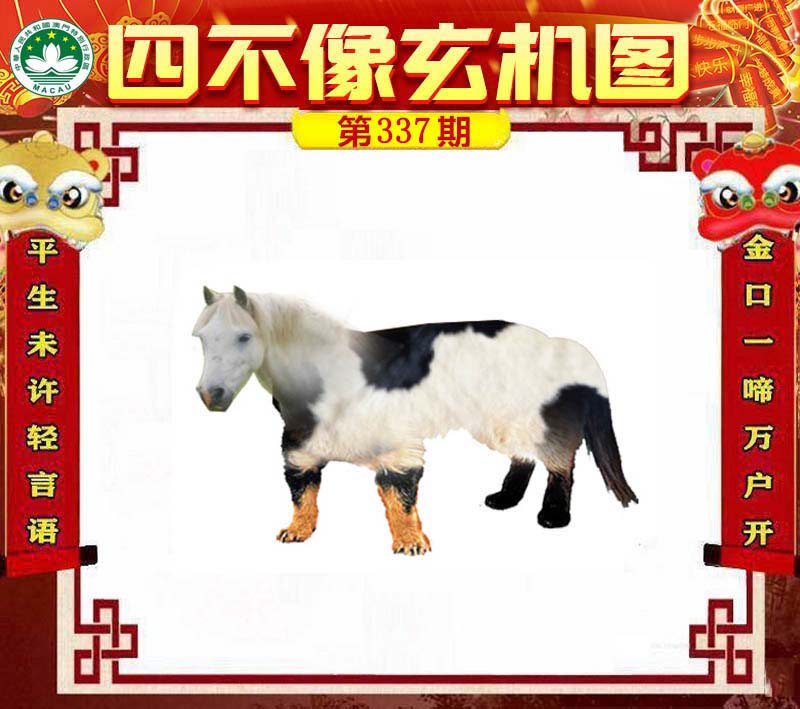 王中王四不像肖一肖中特，探索神秘現(xiàn)象背后的真相，神秘現(xiàn)象背后的真相探索，王中王四不像肖一肖中特揭秘