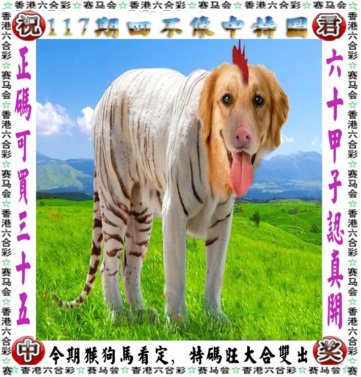 王中王四不像一肖論壇，探索神秘論壇的世界，王中王四不像一肖論壇，神秘論壇世界的探索之旅