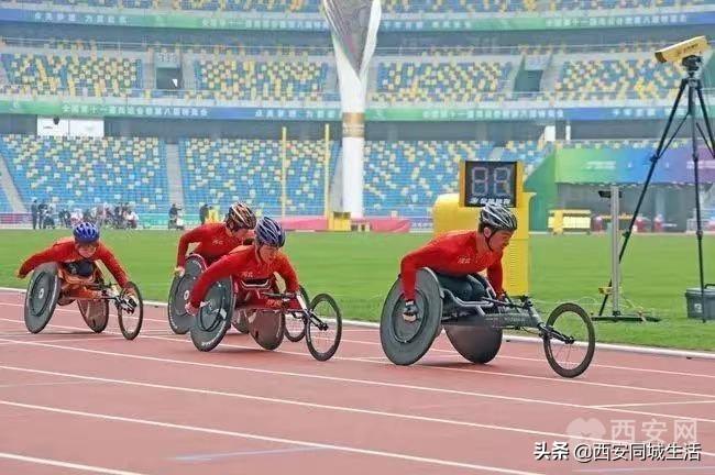 2025年澳門精準免費大全——全面解析澳門未來展望與特色體驗，澳門未來展望與特色體驗解析，澳門精準免費大全（2025版）