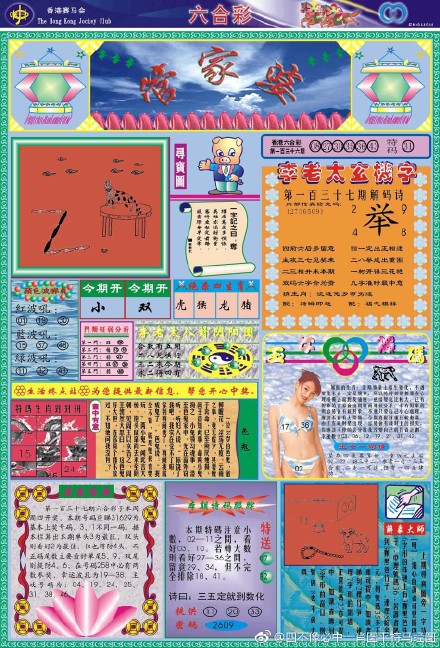 王中王四不像必出一肖圖——揭秘彩票背后的秘密，揭秘彩票背后的秘密，王中王四不像必出一肖圖的真相探索