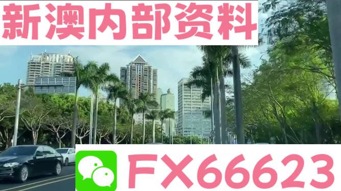 新澳資料哪里看，全面指南與資源匯總，新澳資料全面指南與資源匯總查看攻略