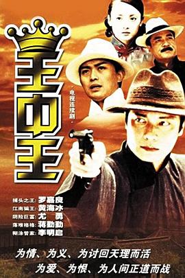 王中王中資料一肖中持，深度解析與SEO優(yōu)化探討，王中王中資料解析與SEO優(yōu)化策略探討