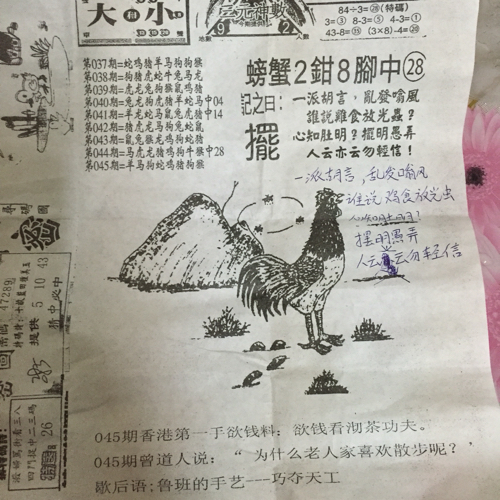 揭秘林中的高手王中王猜一肖的奧秘，揭秘林中之王王中王與生肖奧秘探秘