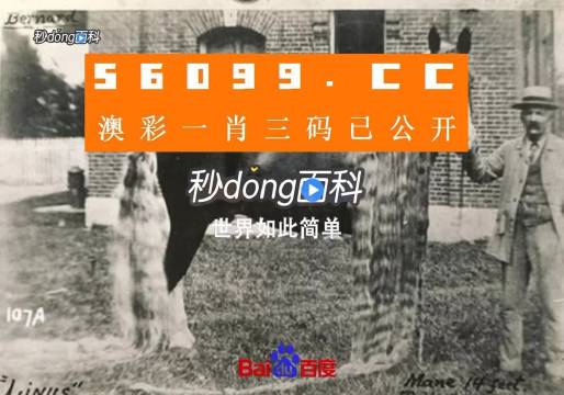 澳門王中王心水王中王，探索與解析，澳門王中王心水奧秘，深度探索與解析