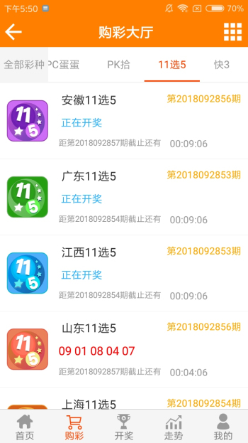 王中王黃金一肖二碼資料，深度解析與SEO優(yōu)化，王中王黃金一肖二碼資料深度解析與SEO優(yōu)化技巧
