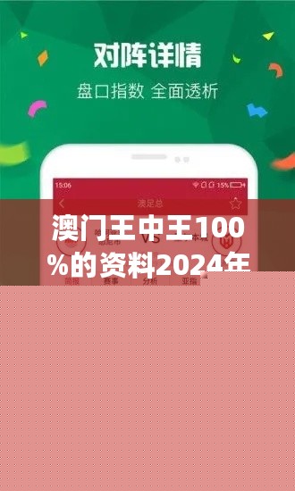 王中王網(wǎng)站一肖，探索與SEO優(yōu)化策略，王中王網(wǎng)站一肖，深度探索與SEO優(yōu)化策略實踐