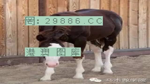 揭秘446999一肖中特馬之秘密，掌握中獎(jiǎng)玄機(jī)！，揭秘特馬中獎(jiǎng)玄機(jī)，446999一肖中的秘密大揭秘！