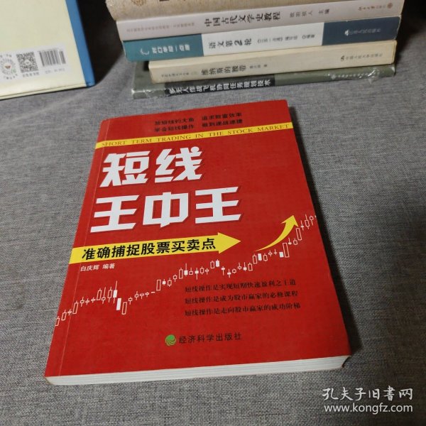 王中王平特一肖中的奧秘與探索，王中王平特一肖的奧秘與探索之旅