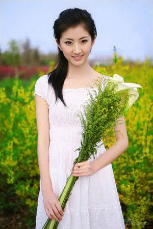 新澳門生肖走勢(shì)圖精準(zhǔn)版，解讀與SEO策略，新澳門生肖走勢(shì)圖精準(zhǔn)解讀與SEO策略揭秘