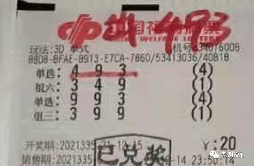 新奧門彩天天開獎資料一網(wǎng)羅萬象，揭秘彩票奧秘，揭秘彩票奧秘，新奧門彩天天開獎資料一網(wǎng)羅萬象