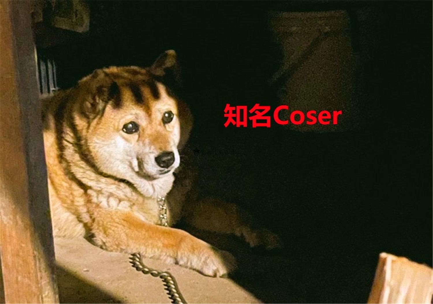 豬狗同行王中王，猜一肖，深度解析與SEO優(yōu)化，豬狗同行王中王猜謎解析與SEO優(yōu)化技巧，深度解析揭秘生肖之謎